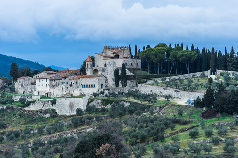 Castello di Nipozzano - Pelago