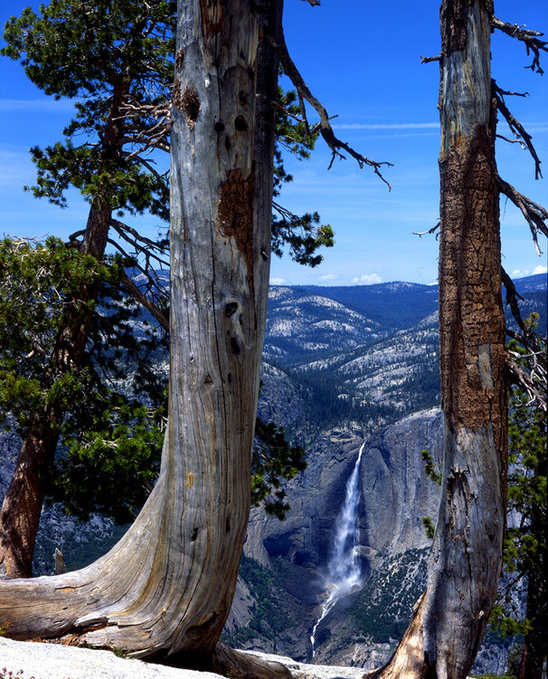 Yosemite Falls.jpg