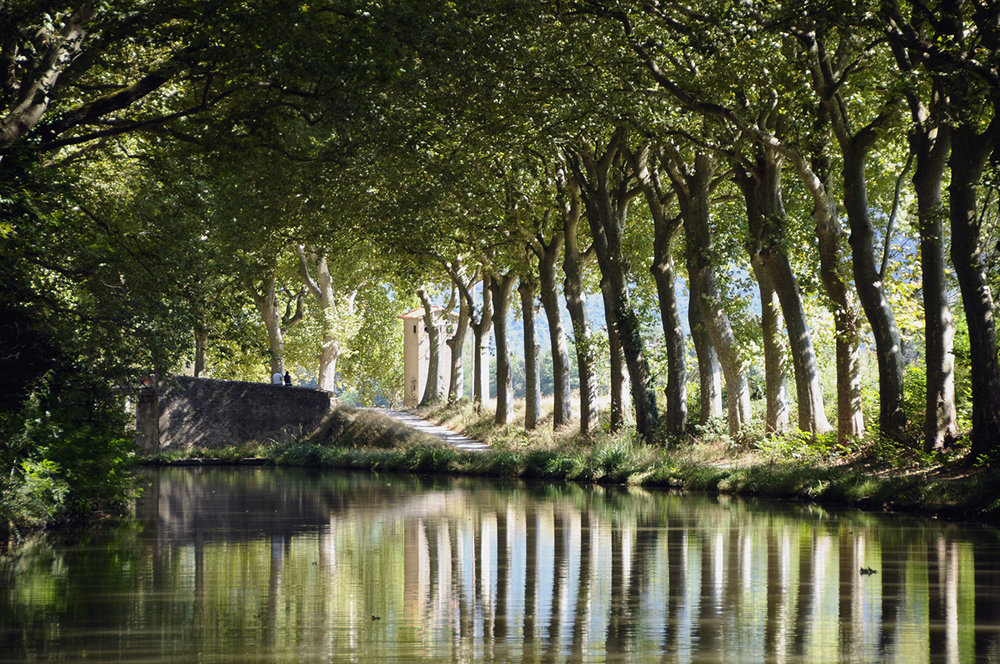 Canal du Midi in summer.jpg