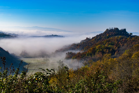 Nebbia in Val d'Arbia_2