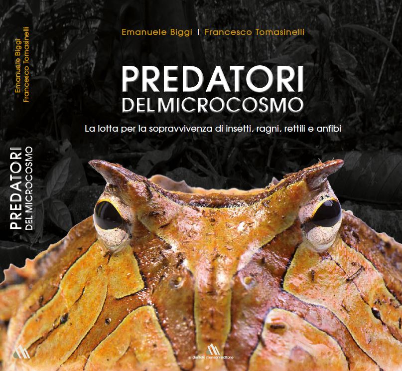 predatori_microcosmo_cover.jpg.aac5dbc63b4015fb8c1266d66494a156.jpg