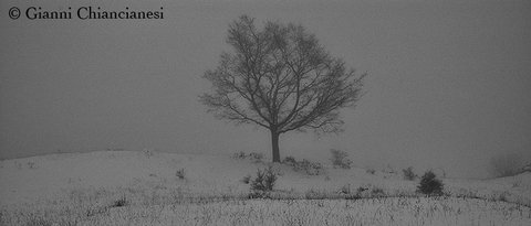 Maggiori informazioni su "Paesaggi invernale1"
