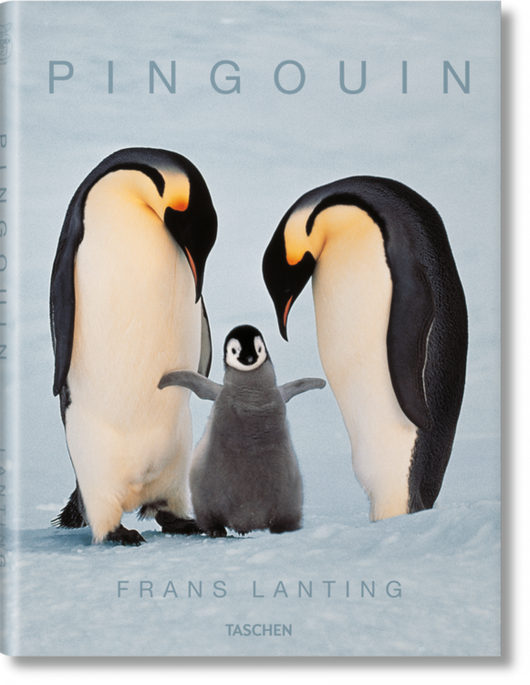 25_lanting_penguin_fo_f_3d_45715_1503121758_id_907918.thumb.png.55e2d04c067464d91732396218015a23.png