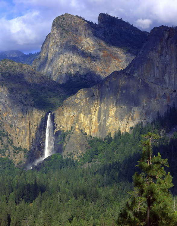 Cascata_Yosemite_1.thumb.jpg.03c454b7aff8a2b17455d5444024e788.jpg
