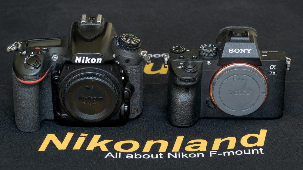 Nikon D750 vs a7III : reflex ? - Blog - Max Aquila Foto