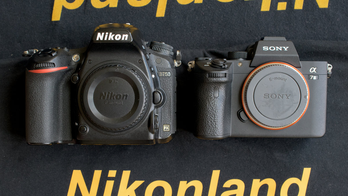 Maggiori informazioni su "Nikon D750 vs Sony a7III : reflex o mirrorless ?"