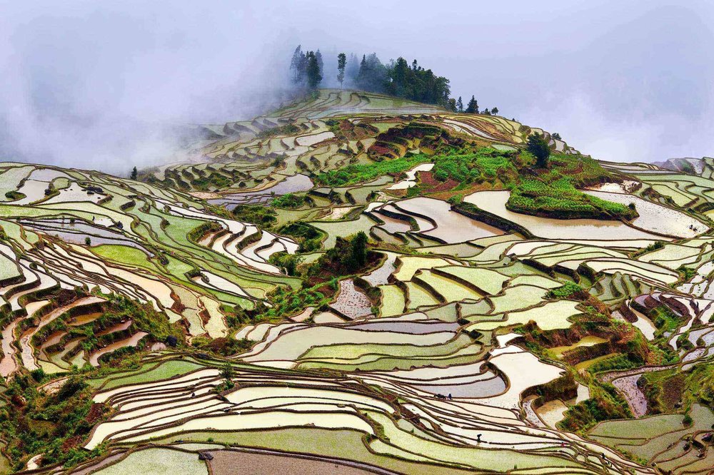 Surreal-Landscapes-Yunnan-2.jpg