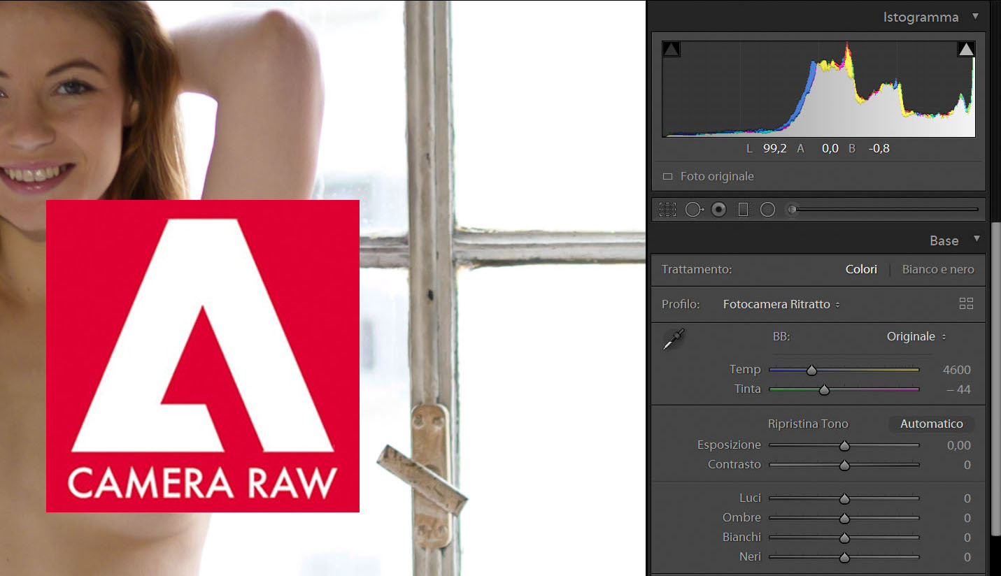More information about "Nikon Z6/Z7 e Adobe Camera Raw/LR : bilanciamento del bianco"