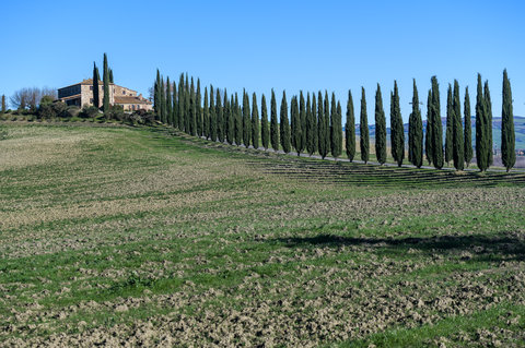 Borgo Beccanella