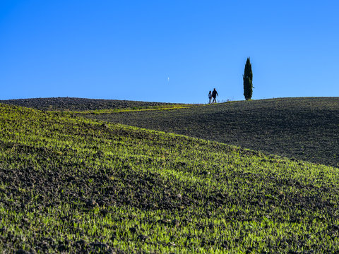 A passeggio in Val d'Orcia