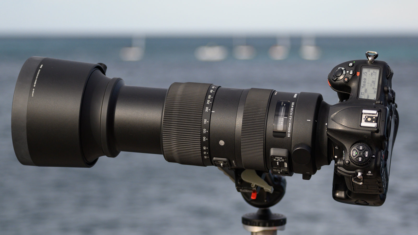 More information about "Sigma 60-600mm f/4,5-6,3 Sports DG OS"