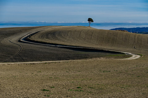 Loc. La Leonina (SI)