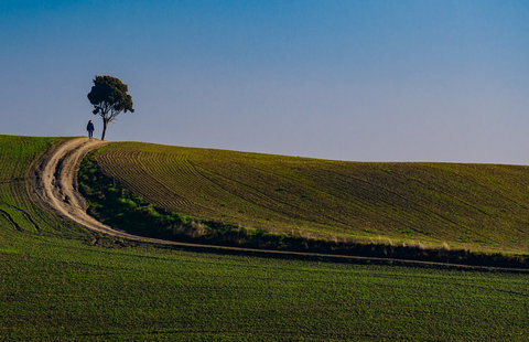 Loc. La Leonina (SI)