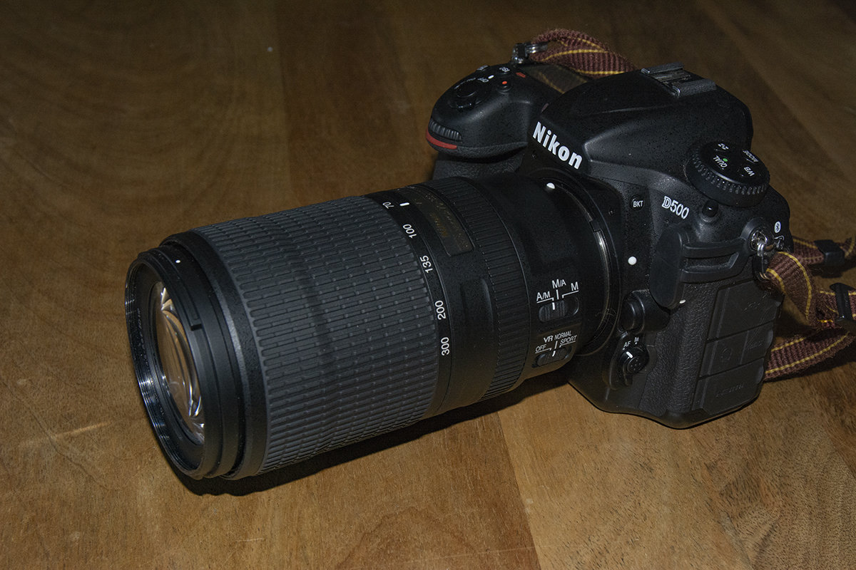 Maggiori informazioni su "Nikon 70-300mm f4.5-5.6E AF-P VR sulla D500, come va?"