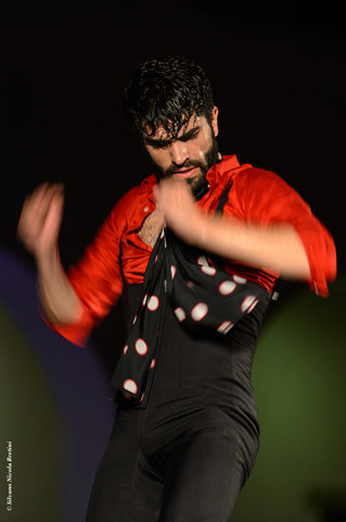 Flamenco__DSG2965.jpg