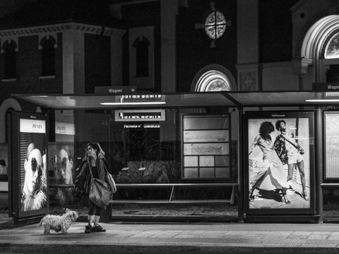 Maggiori informazioni su "Bus stop"