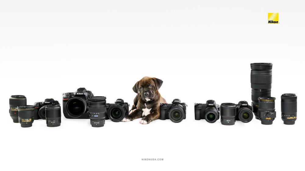 Nikon-Wallpaper-Flagship-Lineup.thumb.jpg.1167720503ab446a48c9b50691e15cf2.jpg