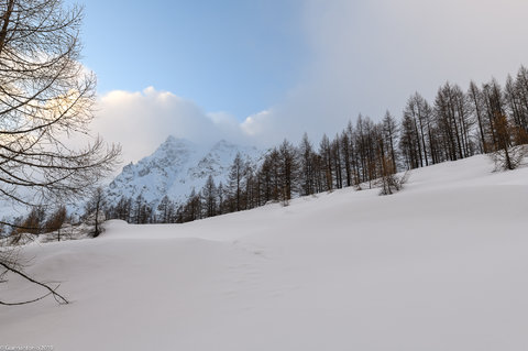 Maggiori informazioni su "Contrasti Invernali (1 di 1).jpg"