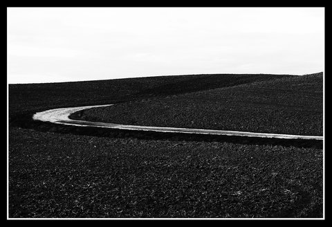 Strada Bianca...in Val d'Orcia