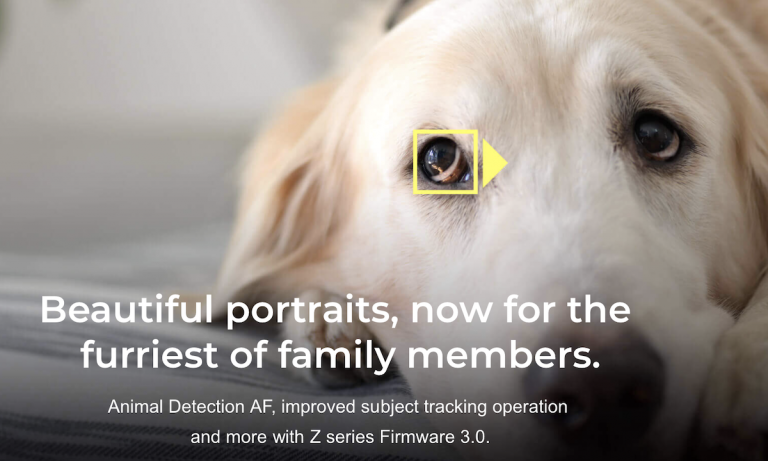 Maggiori informazioni su "Nuovo firmware Z 3.0 con eye-AF per gli animali"