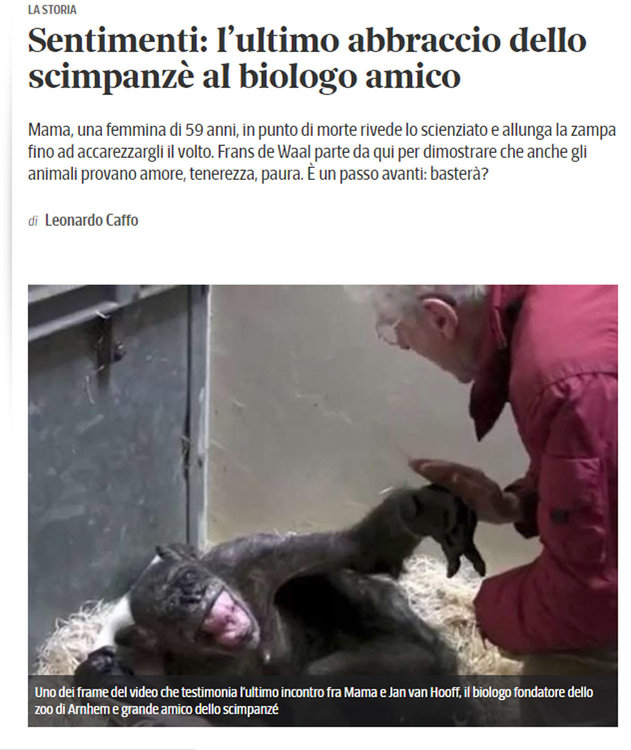 scimpanze-1.thumb.jpg.a0dc79aa30208e5cfdb98196e5e9f649.jpg