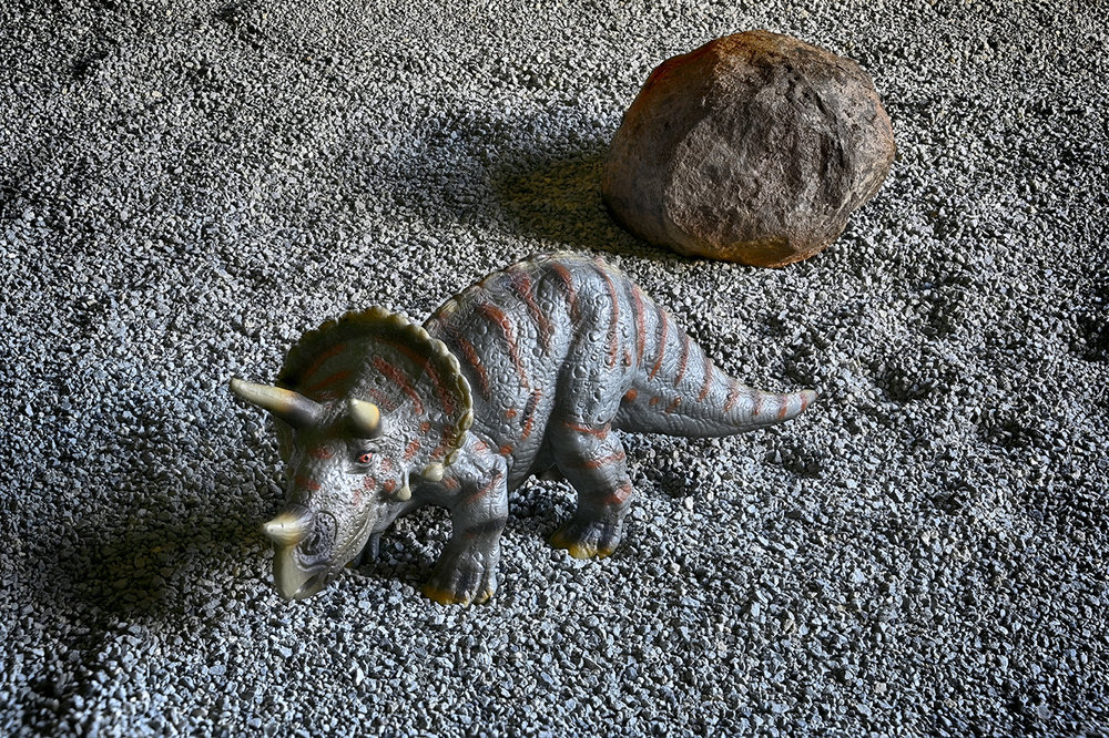 triceratops6lo.thumb.jpg.5e41a531a010a2730f3a3169b19f44f2.jpg