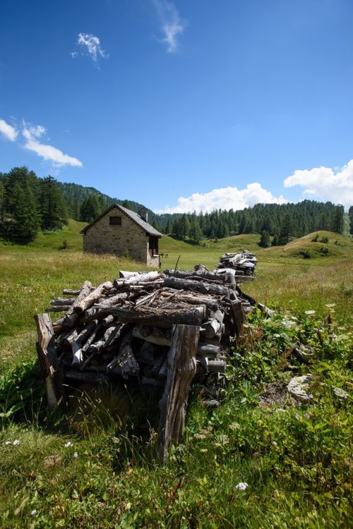2020_0718AlpeDevero0110.thumb.jpg.d588834b6f0f46cb4e01f30a1e232dc6.jpg