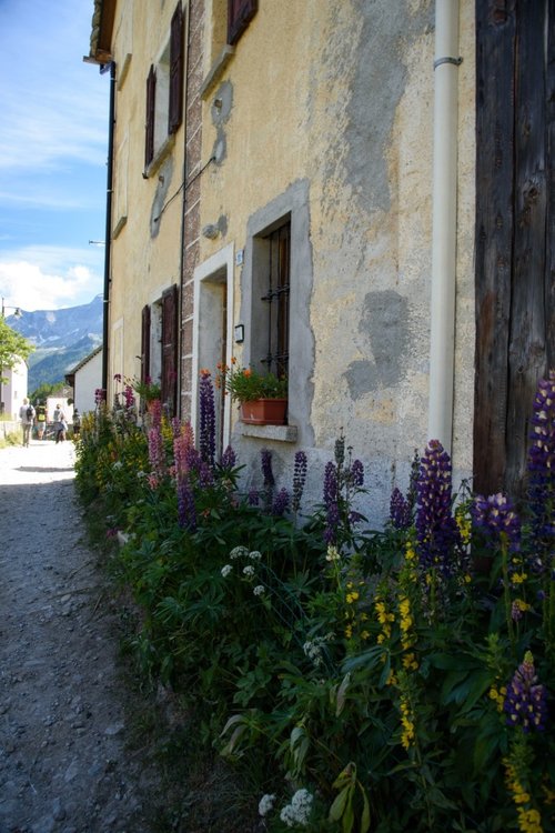 2020_0718AlpeDevero0130.thumb.jpg.022e2e6fa36b6ac7532b90b45fc1c680.jpg