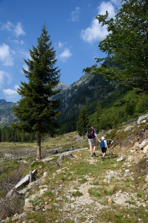 2020_0810Bodengo0017.thumb.jpg.c5d69f167c232a0987cb10d15ca2cbb2.jpg
