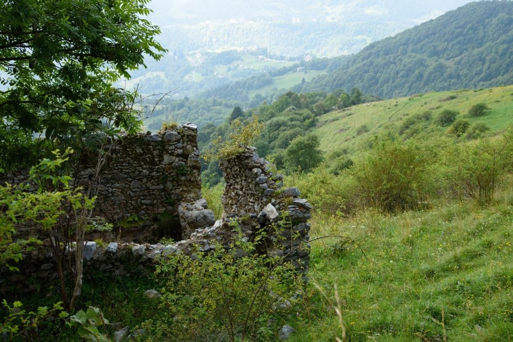 2020_0818Gherardi0005.thumb.jpg.81855bb1b41dde1c6a7603c0ad76d485.jpg