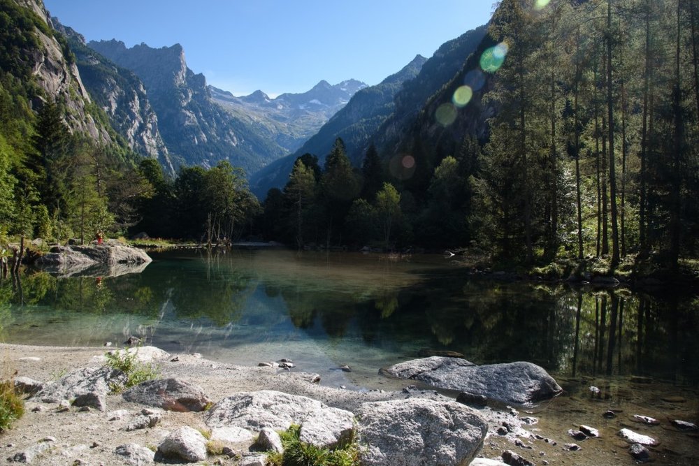 2020_0819ValDiMello0003.thumb.jpg.04434b02f8ac5e3cda0d518acc193efc.jpg