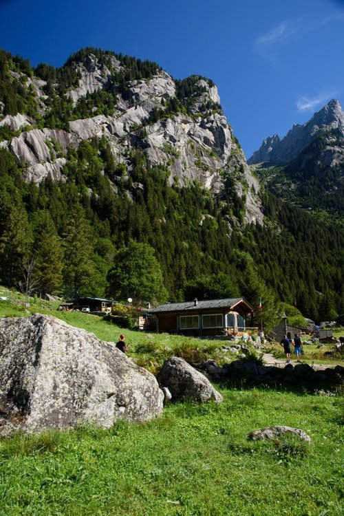 2020_0819ValDiMello0019.thumb.jpg.e01a6aaec6051c554aa4d8b7f788c0c2.jpg