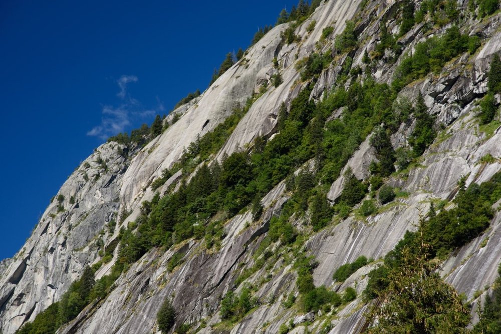 2020_0819ValDiMello0025.thumb.jpg.50e147652022263bd89623cbe618eeb0.jpg