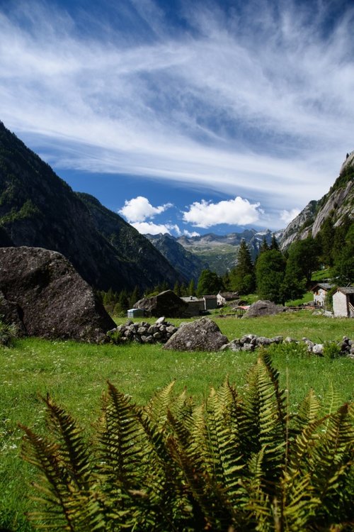 2020_0819ValDiMello0056.thumb.jpg.02772a27e19de6a2bf9f57fc5c3da411.jpg