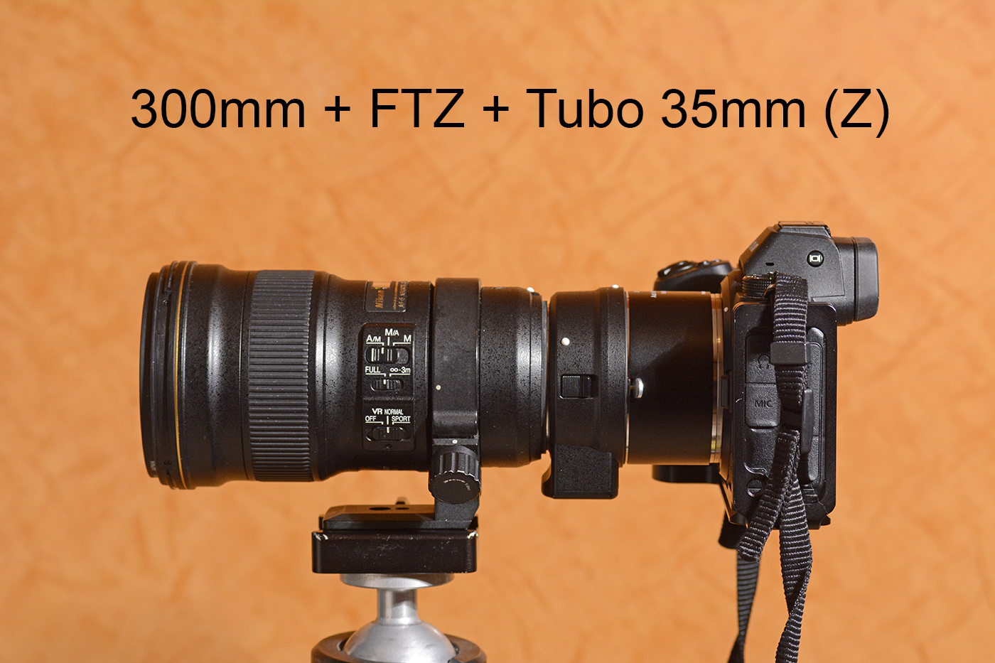 Maggiori informazioni su "Nikon Z6, fotografia ravvicinata con il 300mm Pf e accessori."