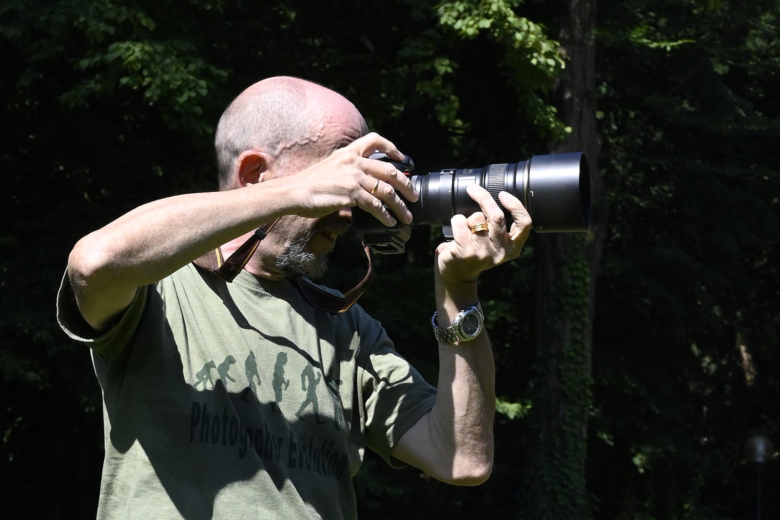 Maggiori informazioni su "[tutorial] Come fotografo le libellule."