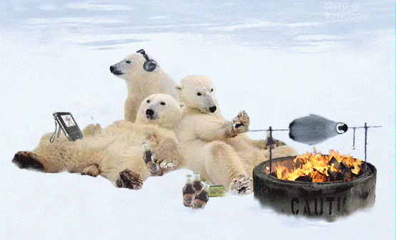 Polar-Bear-BBQ-Penguin.gif.f366d319c7577d4ff44bd892c19215cf.gif
