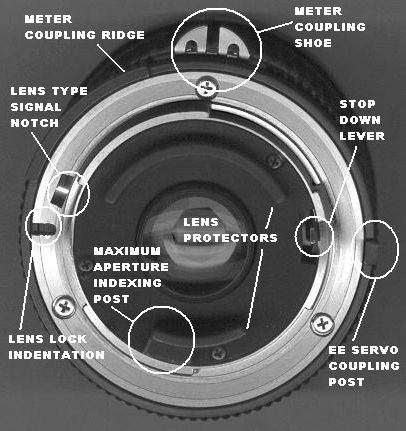 20AI-S2_8rearconv.jpg.0c957708c944e34272237c06cea2ade1.jpg