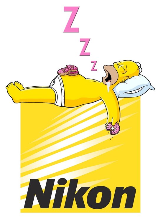 Nikon-logo-sleeping.thumb.jpg.489ff0139ce0b0fac8cdacb7b6e13483.jpg