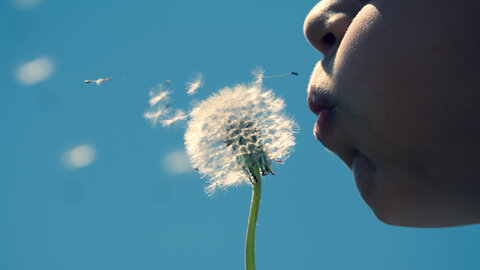 Una foto allegra a colori