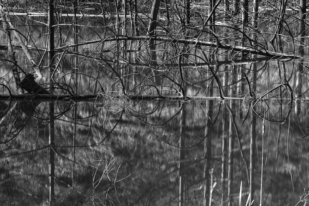 SDIM0012 copia.jpg