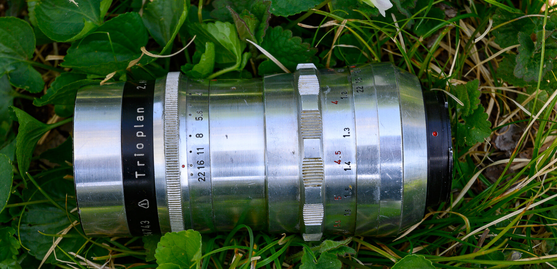 More information about "Trioplan e ... Tulipani [via Megadap MTZ11, ovviamente su Nikon Z !]"