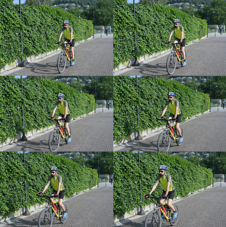 ZF2_9287.thumb.jpg.d1a927766e3e527b6e60185fc7c0844e.jpg