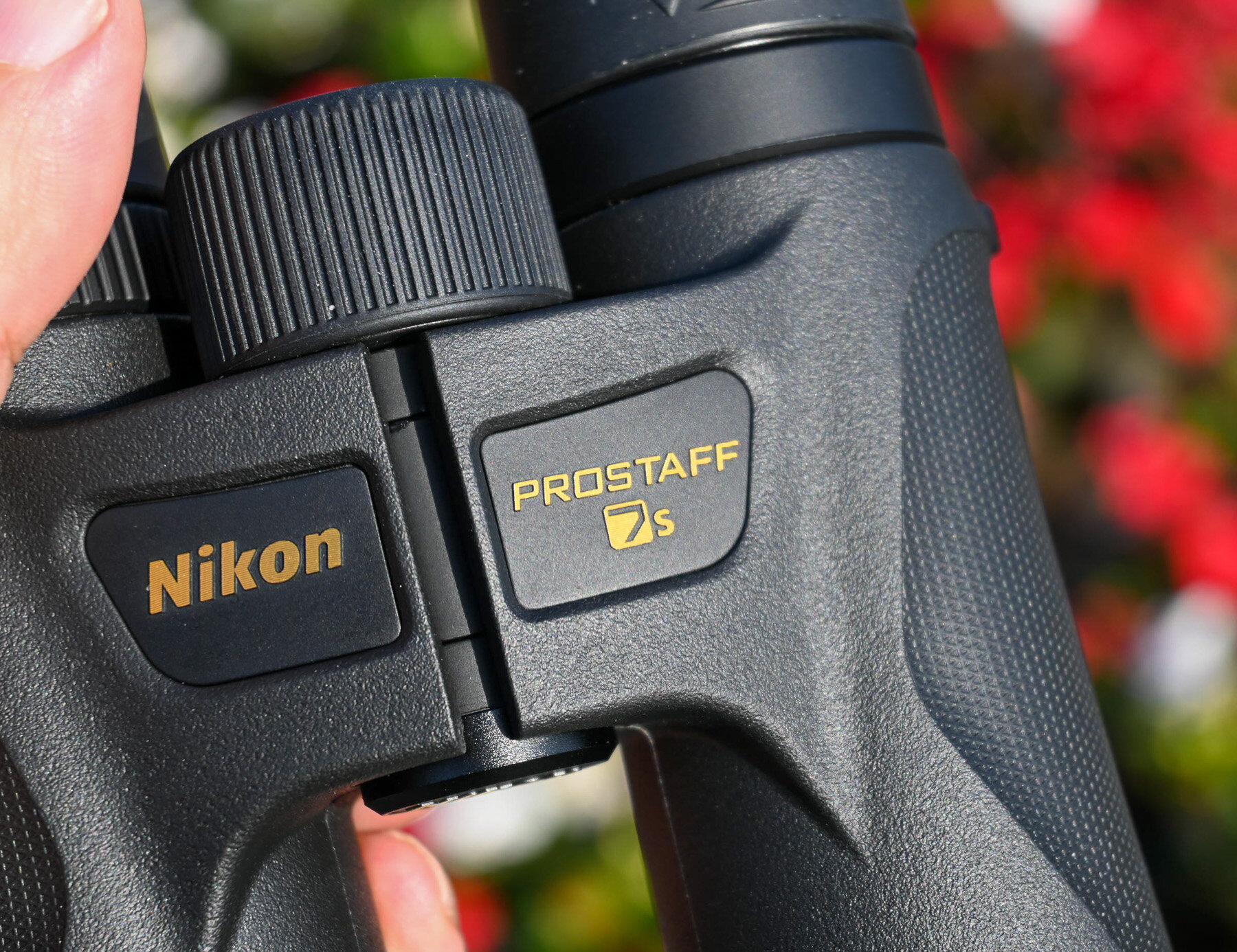 Maggiori informazioni su "Nikon Prostaff 7s 8x30 : quello compatto (prova)"