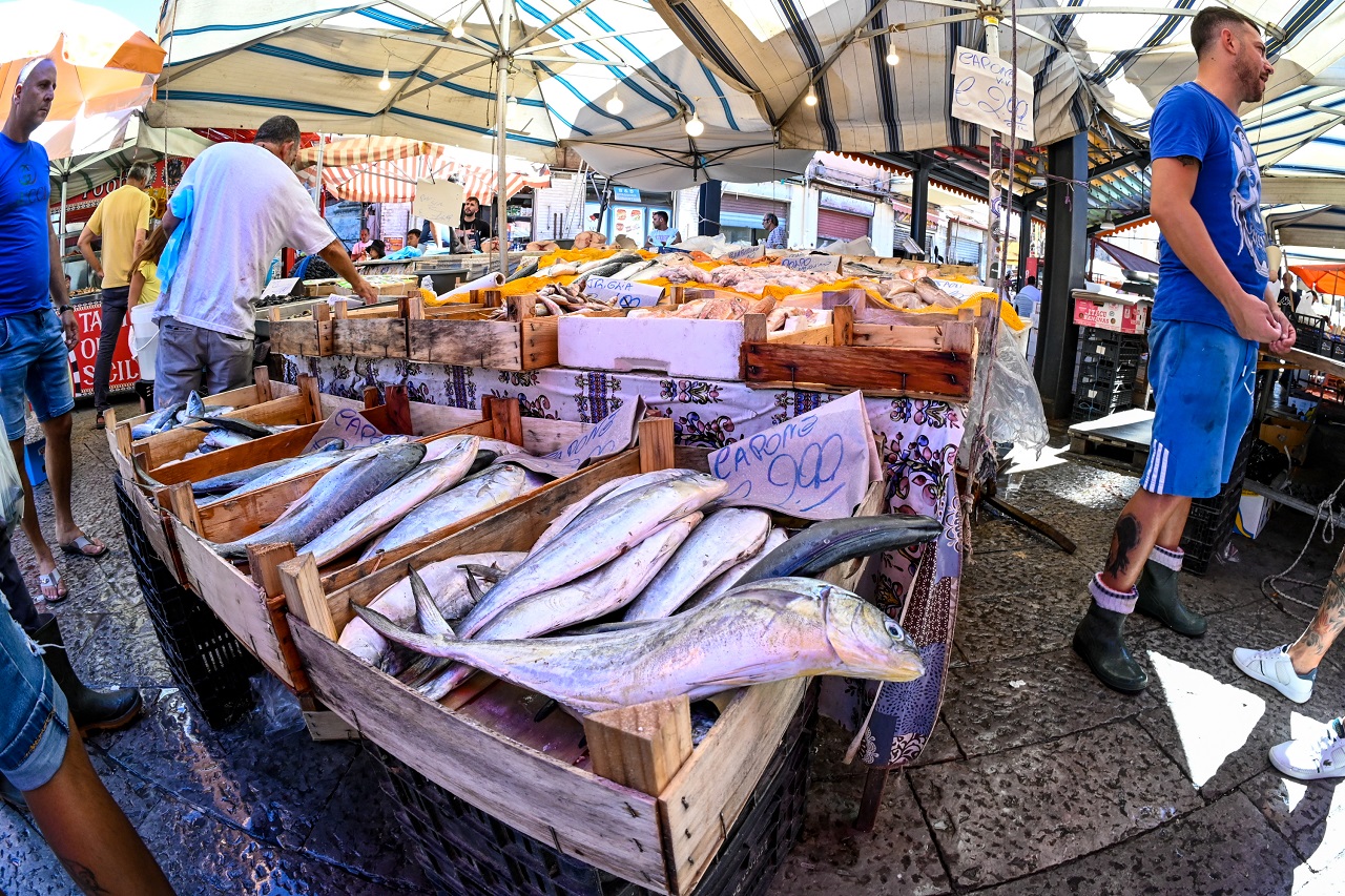 Maggiori informazioni su "TTArtisan 7,5mm f/2 fisheye : l'occhio del pesce"