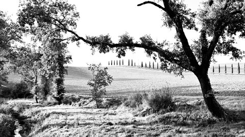 Val d'Orcia_22_10_02_041.JPG