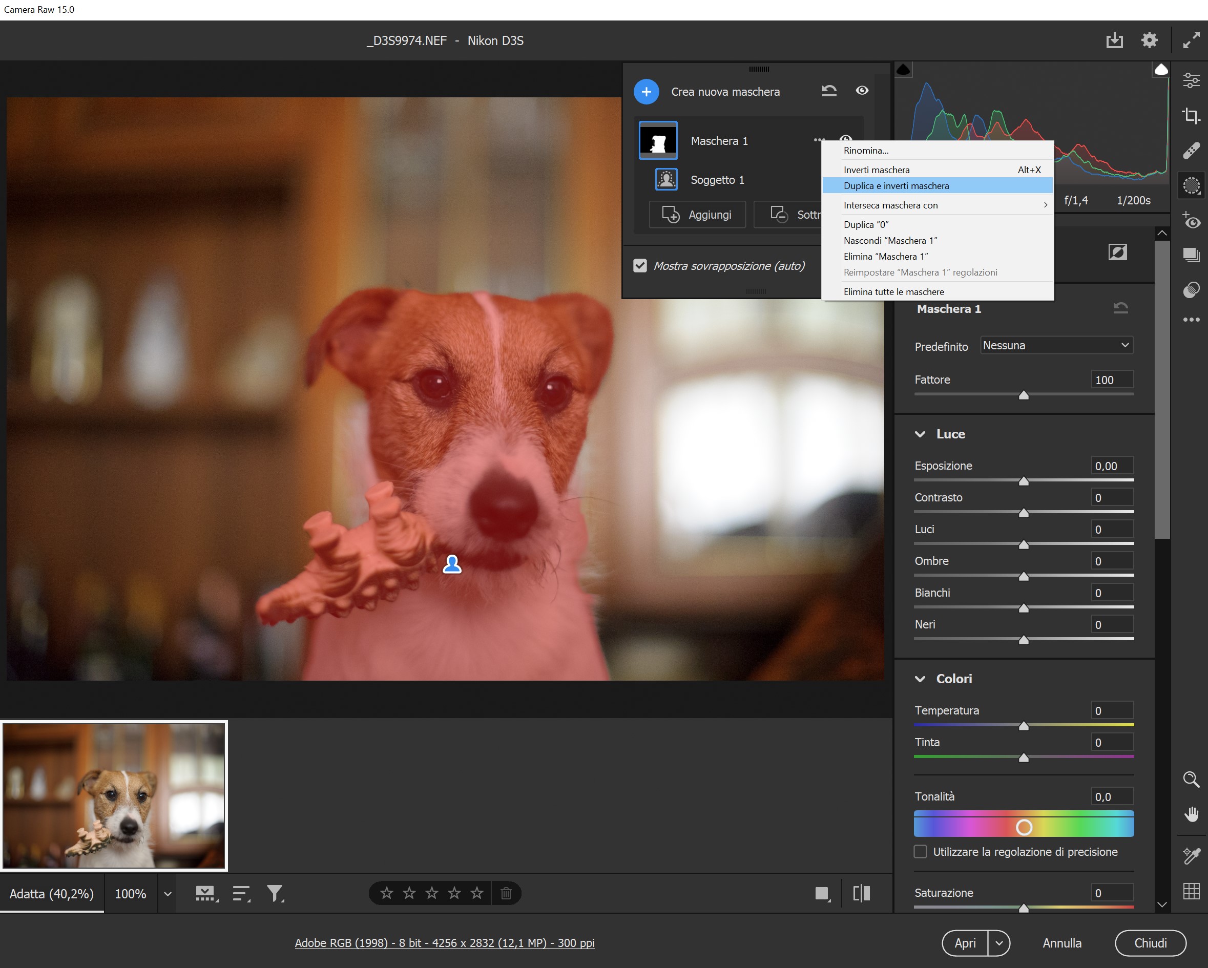 More information about "Regolazioni Selettive con Adobe Camera Raw 15"