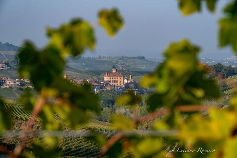 Barolo tra il barolo