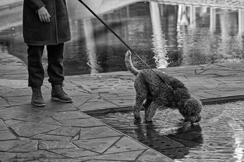 Che bello una fontana!