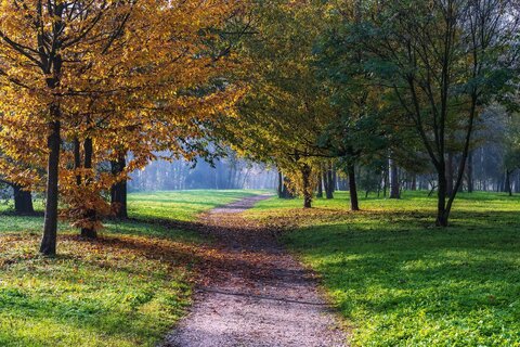 Paesaggio autunnale